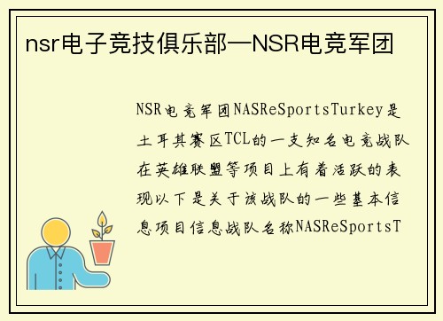 nsr电子竞技俱乐部—NSR电竞军团